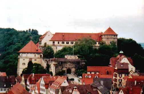  Schloss Hohentbingen