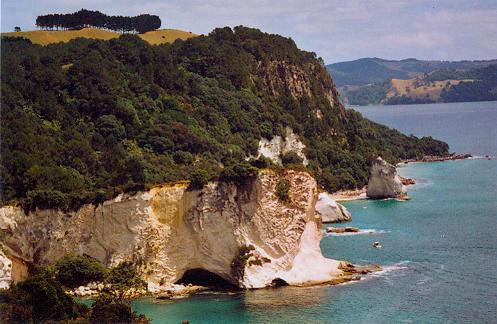 Felskste bei Cathedral Cove