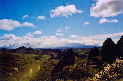 Blick zurck zum Tongariro Nationalpark
