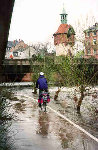 berfluteter Dreisam-Radweg in Freiburg