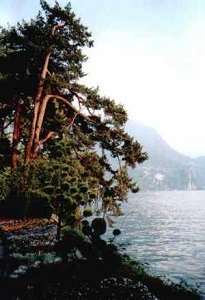 Lugano 2002