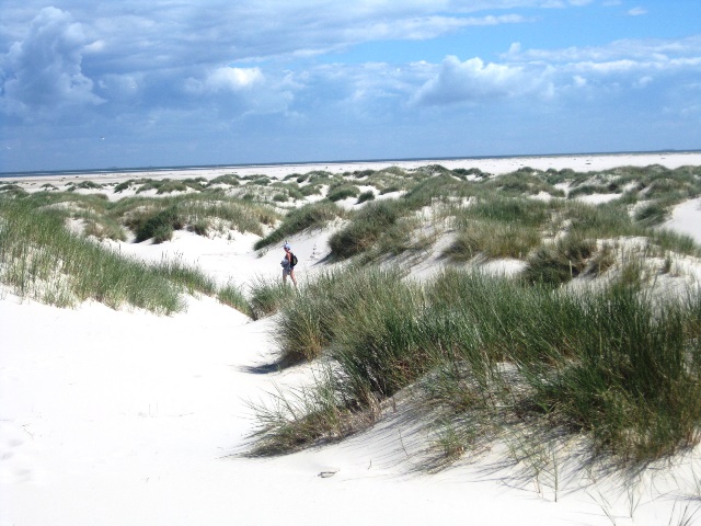 Amrum