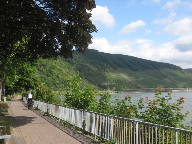 Rheinradweg