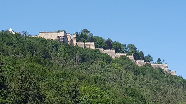 Festung Knigstein