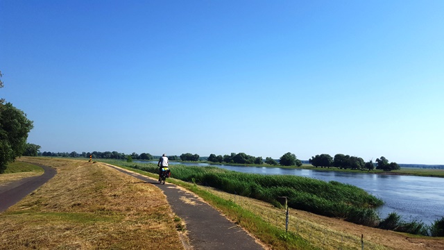 Oder-Radweg