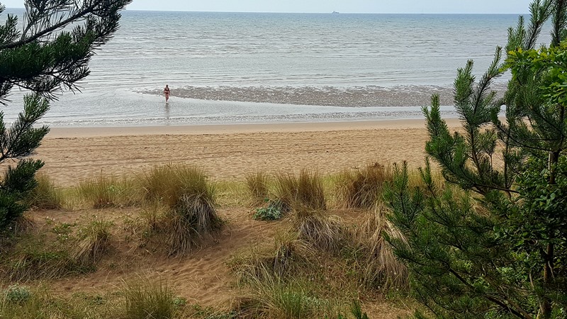 Swansea Beach