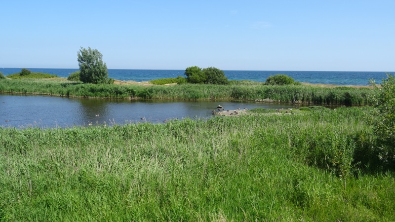 Strandsee bei Schmoel