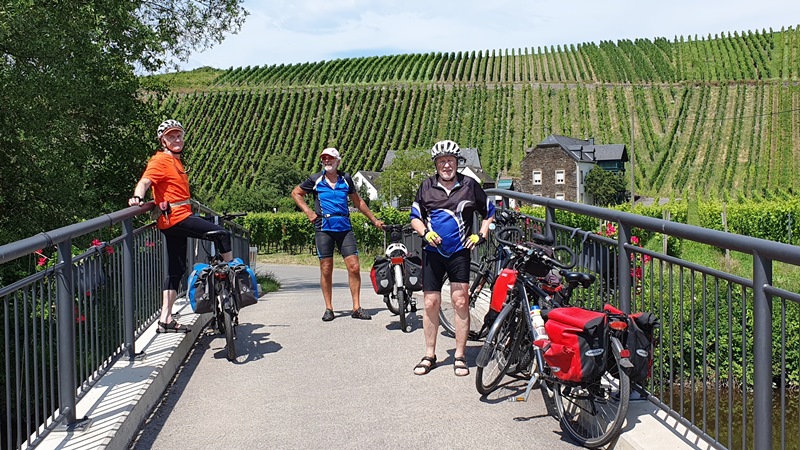 Mosel-Weinberge