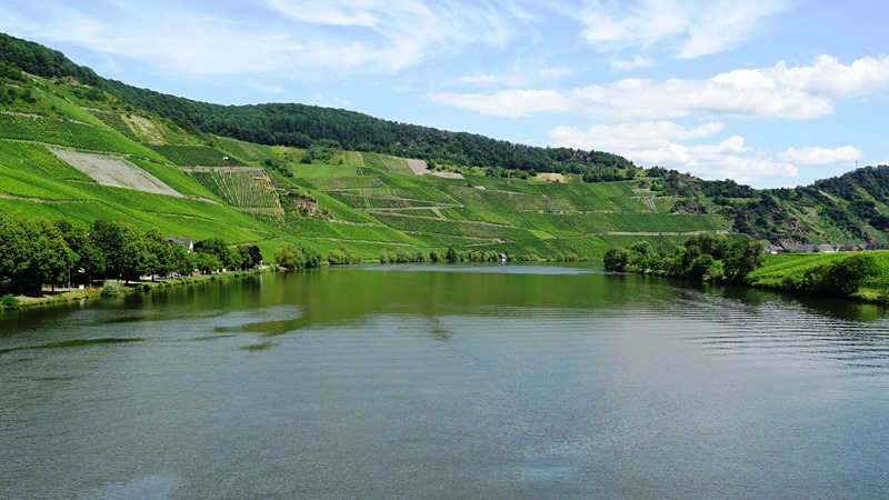 Mosel